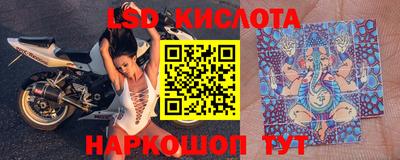 прущие грибы Волгодонск