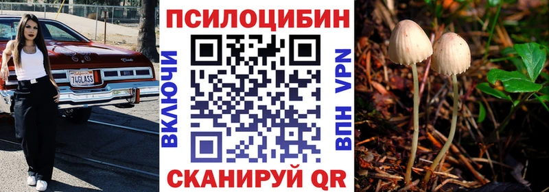 Галлюциногенные грибы мухоморы  наркошоп  Морозовск 