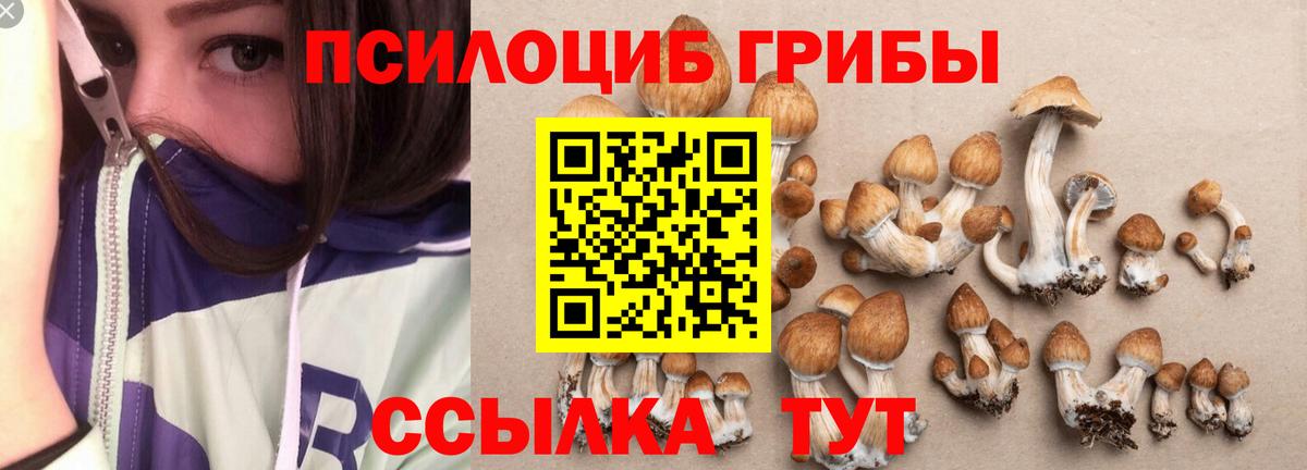 Галлюциногенные грибы GOLDEN TEACHER Морозовск