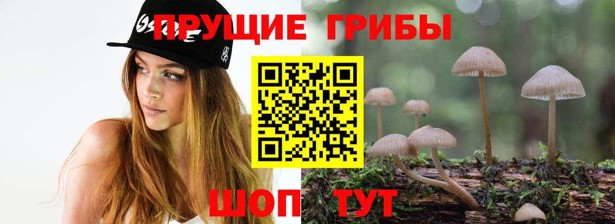 Псилоцибиновые грибы GOLDEN TEACHER  как найти   Морозовск  Вход с VPN 